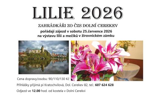 Žirovnice Lilie