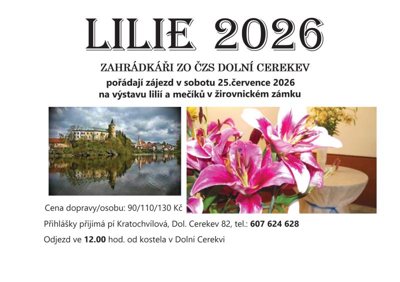 Žirovnice Lilie